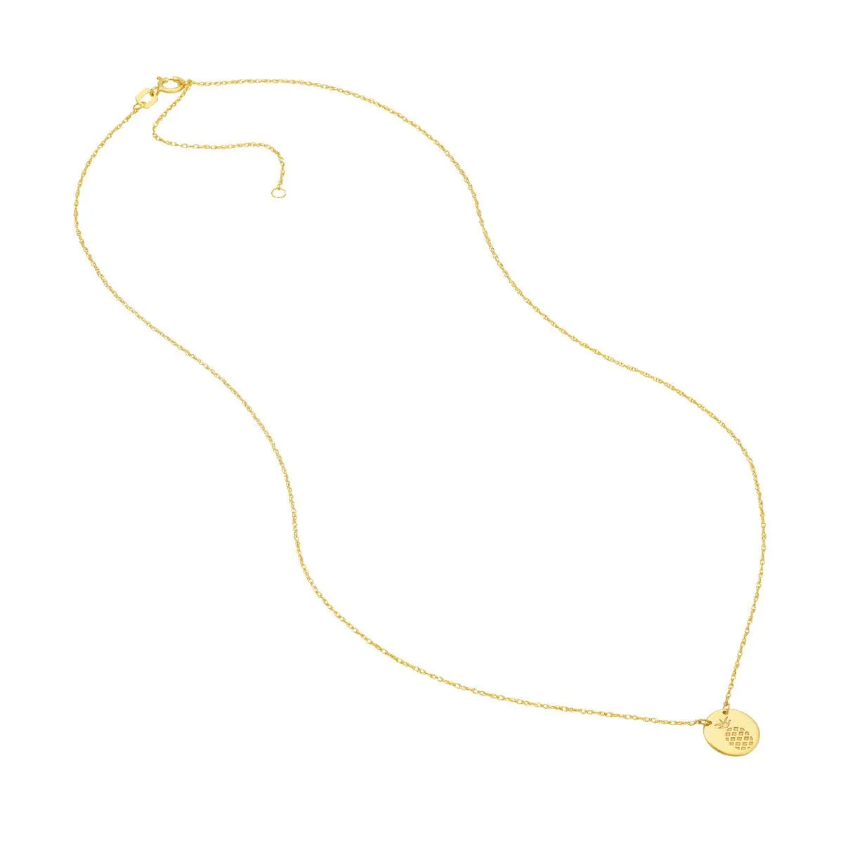 14K Yellow Gold So You Etched Pineapple Mini Disc Necklace