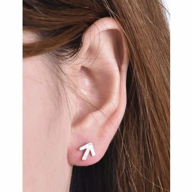 Animal And Pineapple Stud Earrings