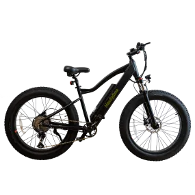 Electric fat bike