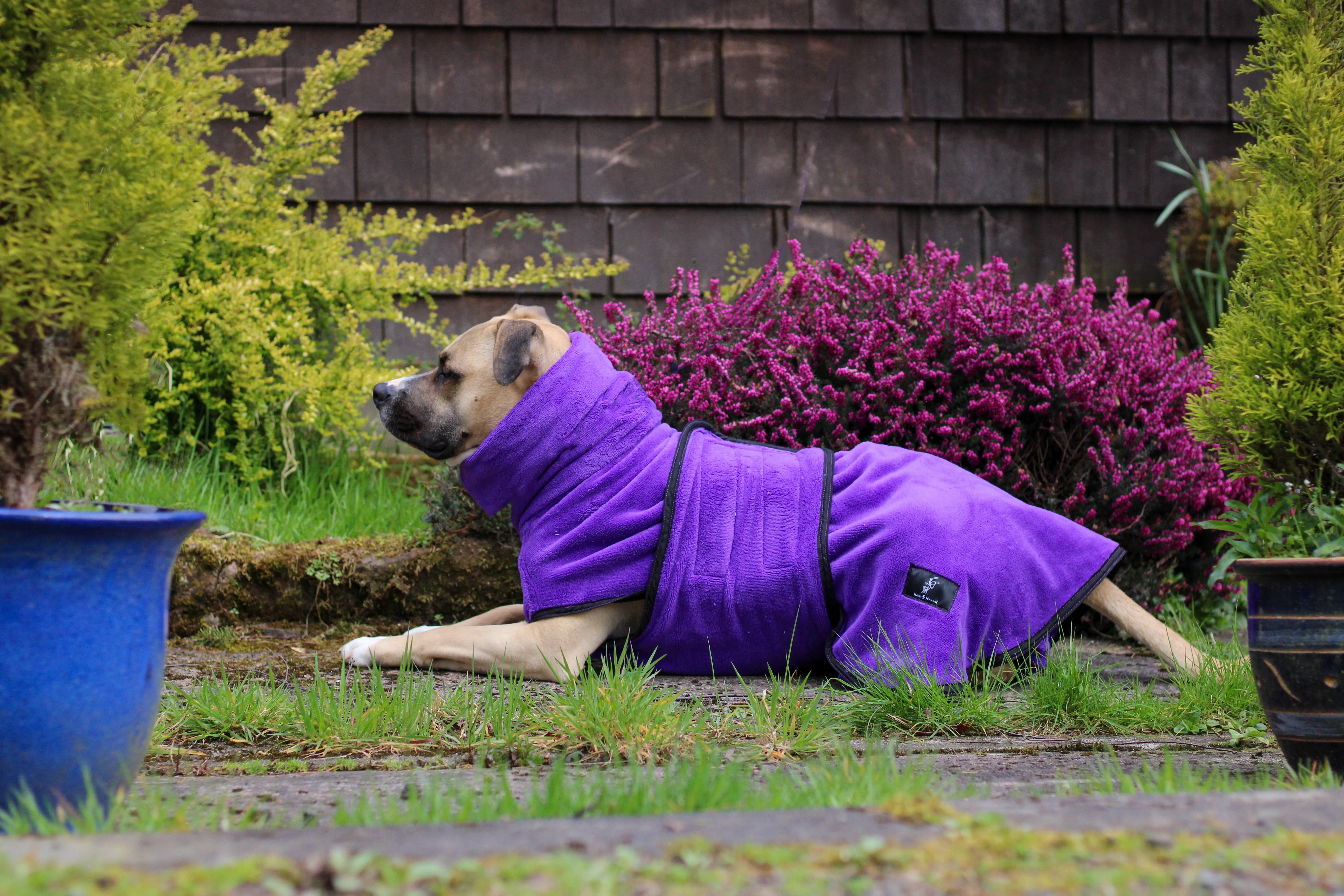 Pathfinder Dog Drying Coat - Royal Purple