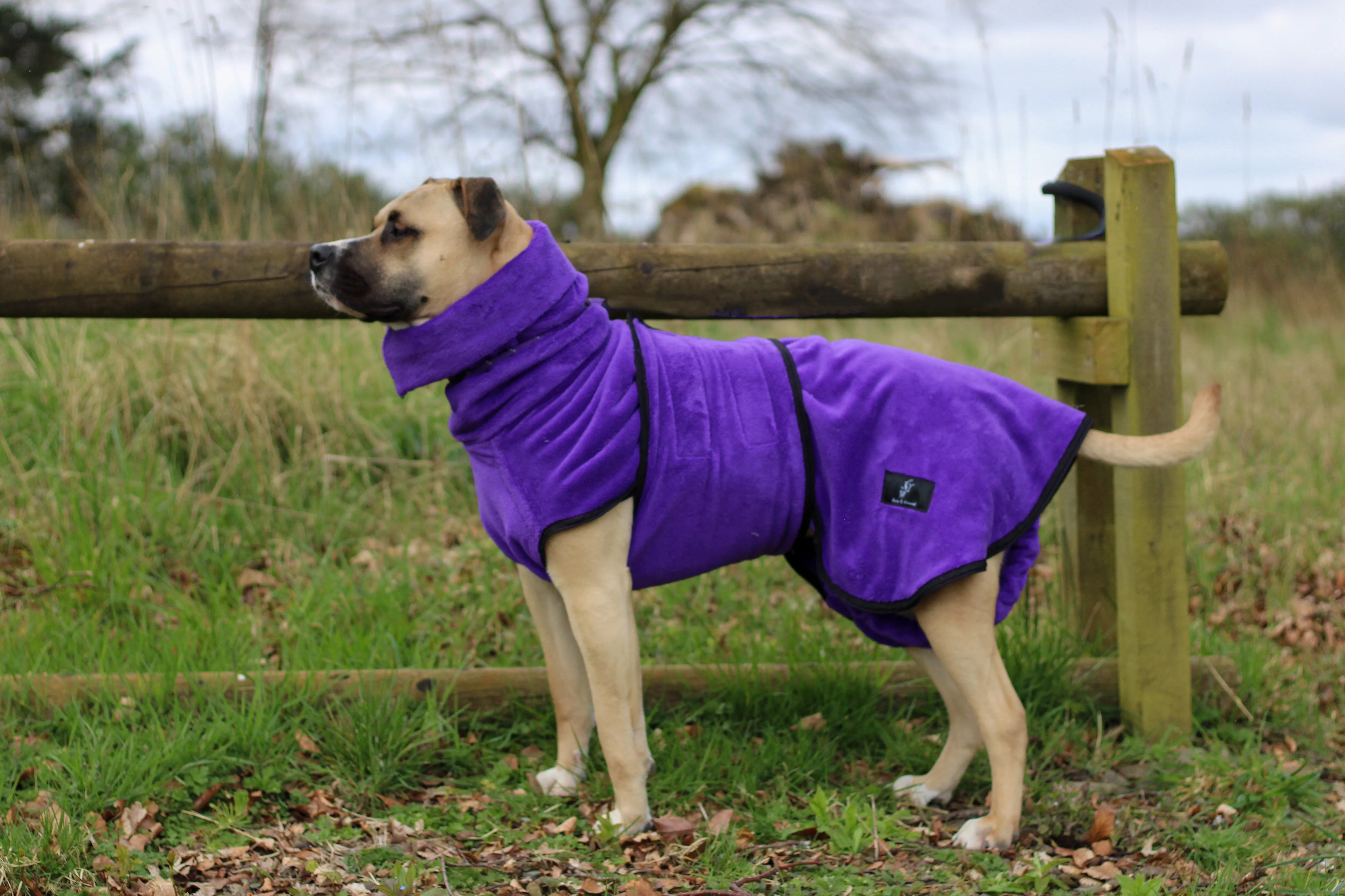 Pathfinder Dog Drying Coat - Royal Purple