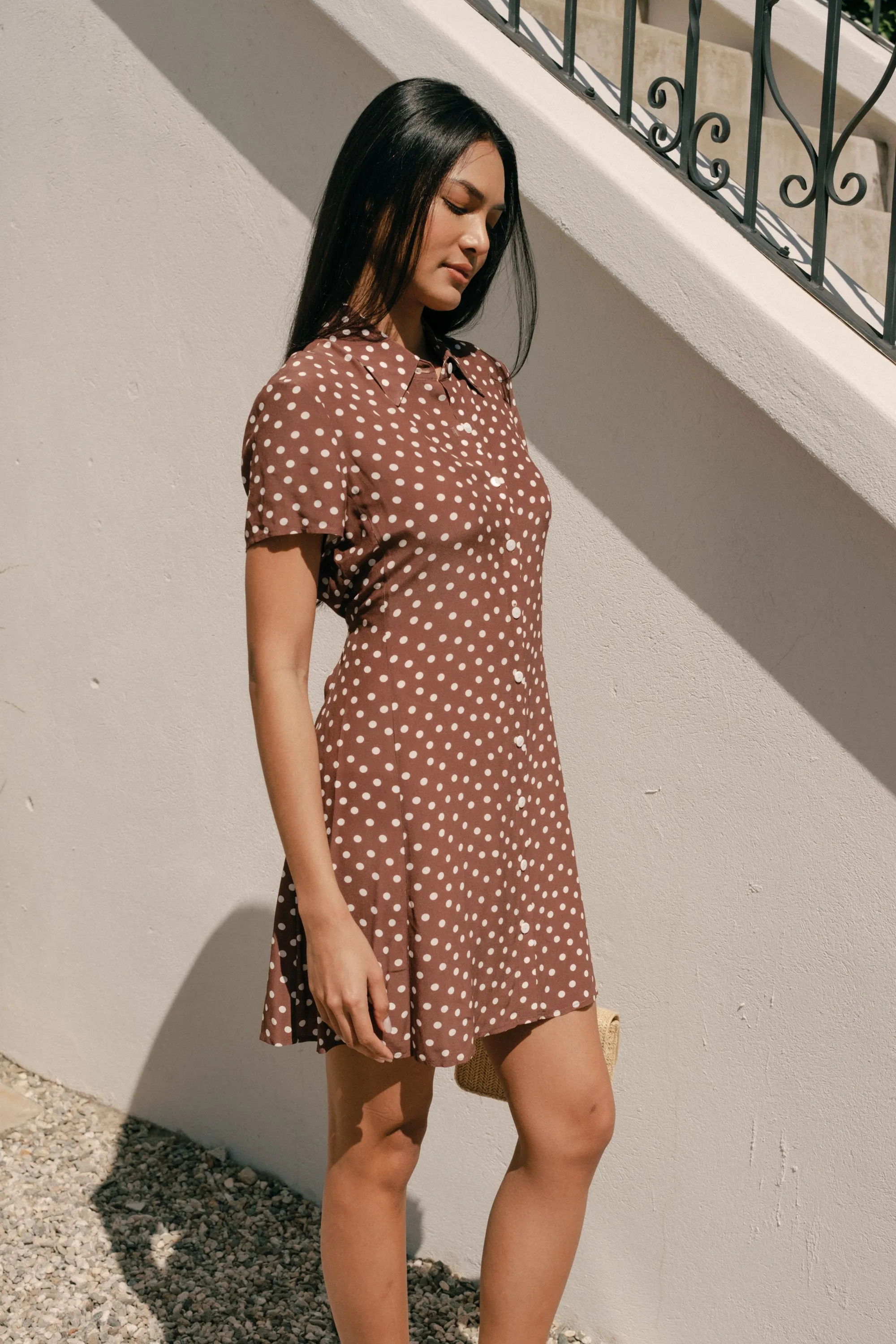 Ronnie Dress in Brown Polka Dots